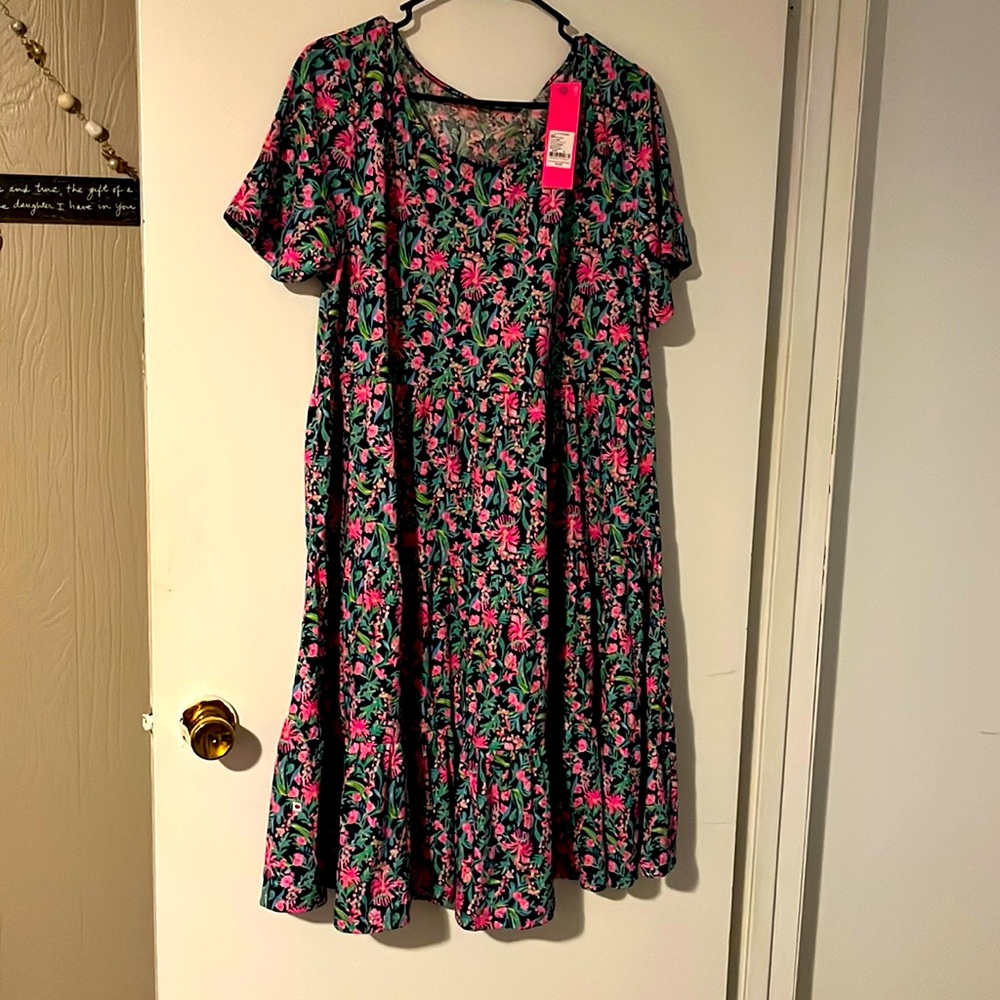 Lilly Pulitzer Jodee Swing dress. XL